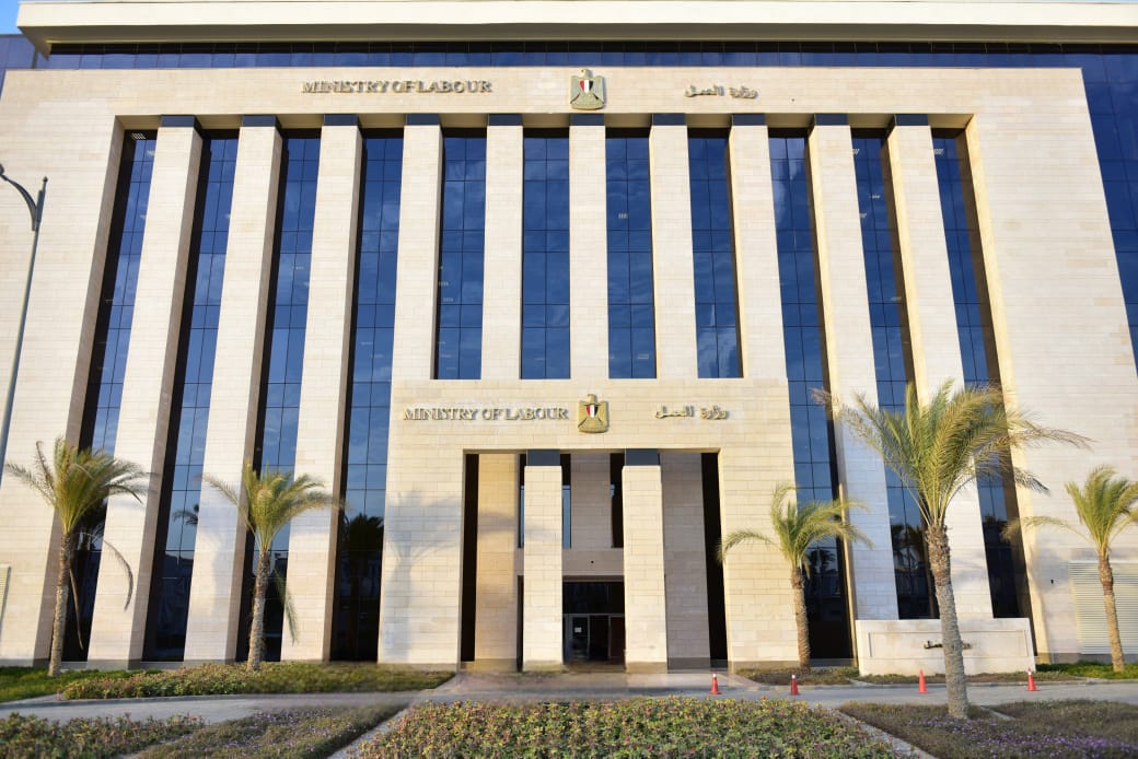 وزير القوى العامله 